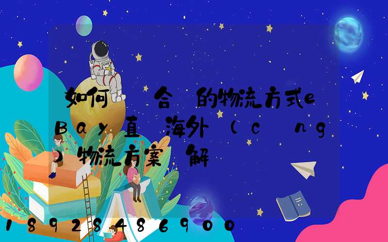 如何選擇合適的物流方式eBay直郵海外倉(cāng)物流方案詳解