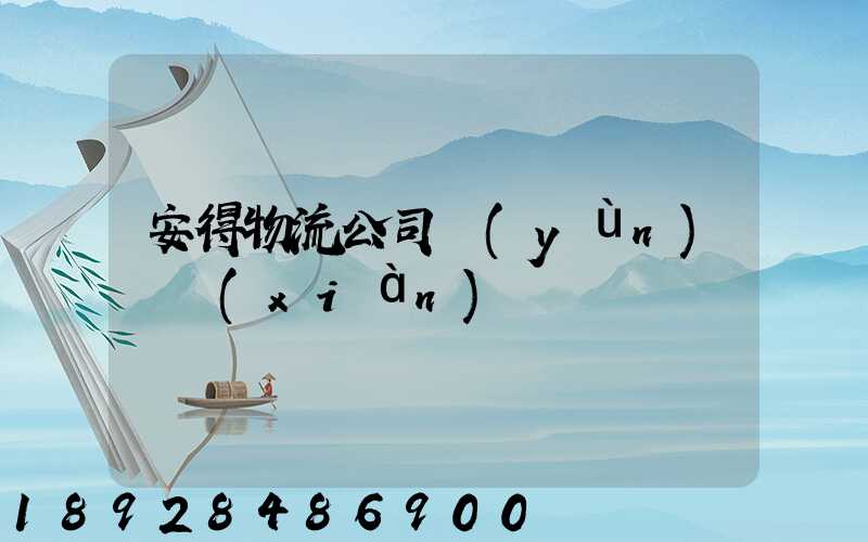 安得物流公司運(yùn)輸現(xiàn)狀