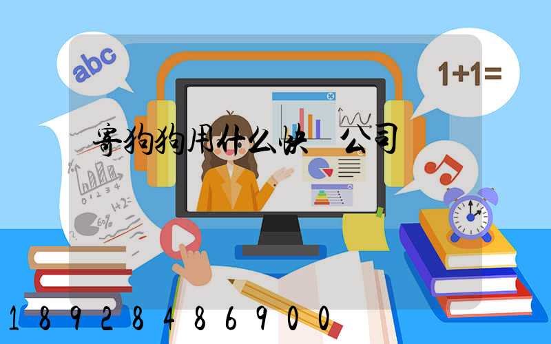 寄狗狗用什么快遞公司