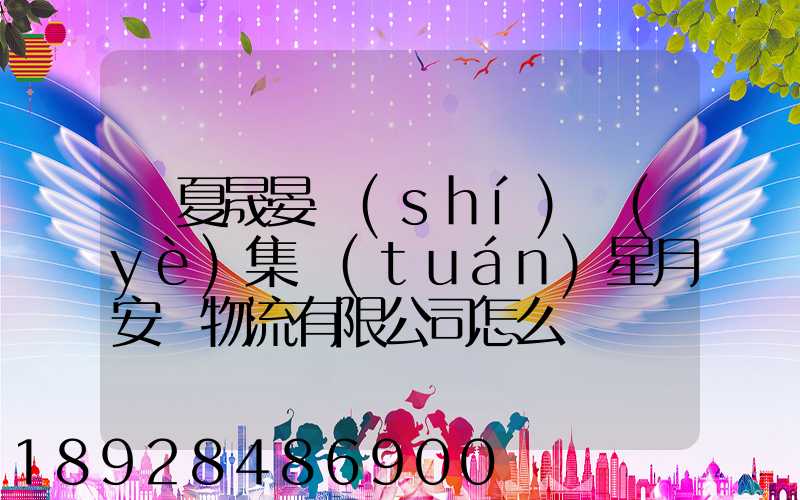 寧夏晟晏實(shí)業(yè)集團(tuán)星月安順物流有限公司怎么樣