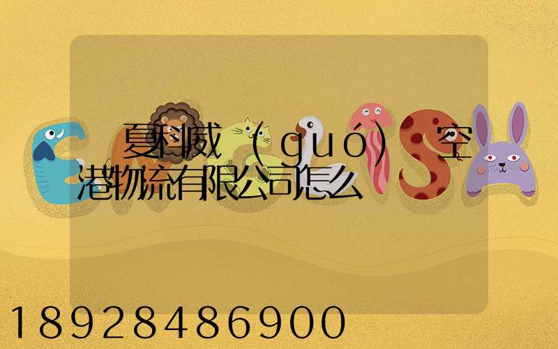 寧夏科威國(guó)際空港物流有限公司怎么樣