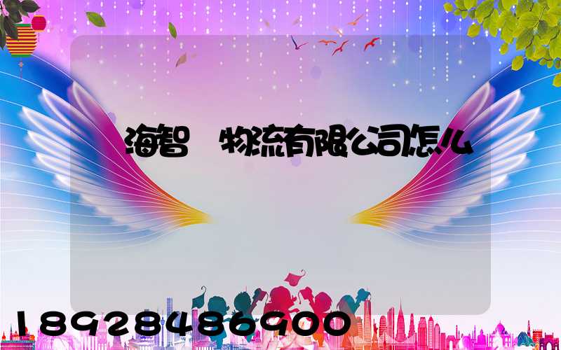 寧海智偉物流有限公司怎么樣