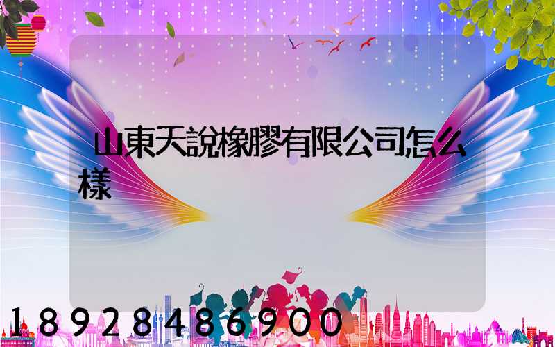 山東天說橡膠有限公司怎么樣