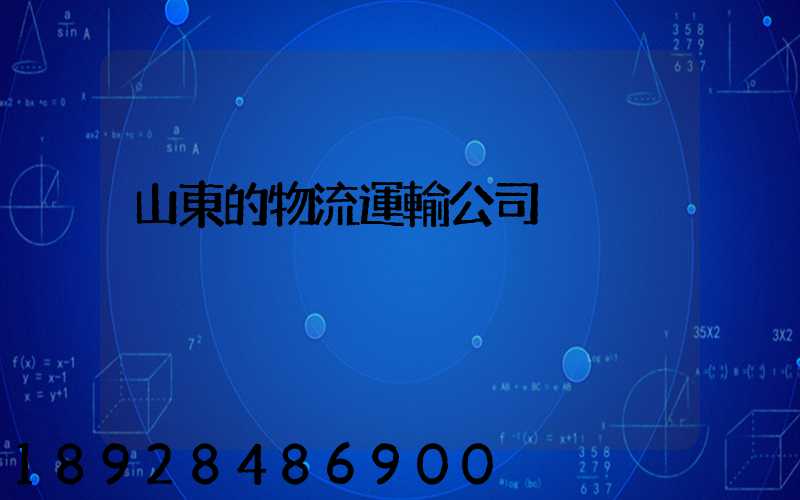 山東的物流運輸公司