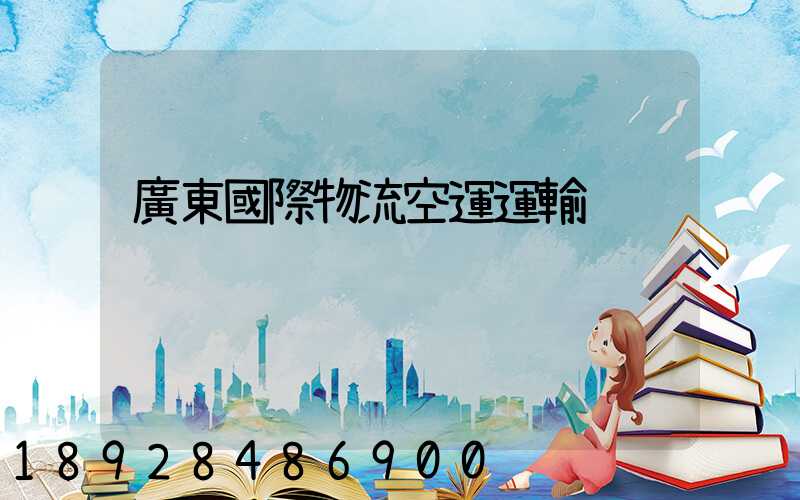 廣東國際物流空運運輸