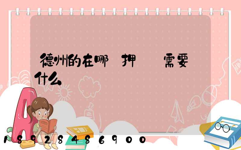 德州的在哪辦押運證需要帶什么