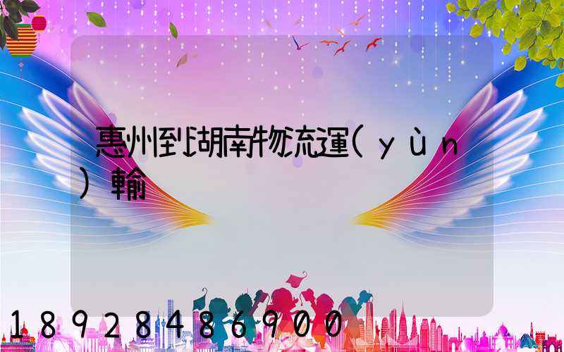 惠州到湖南物流運(yùn)輸