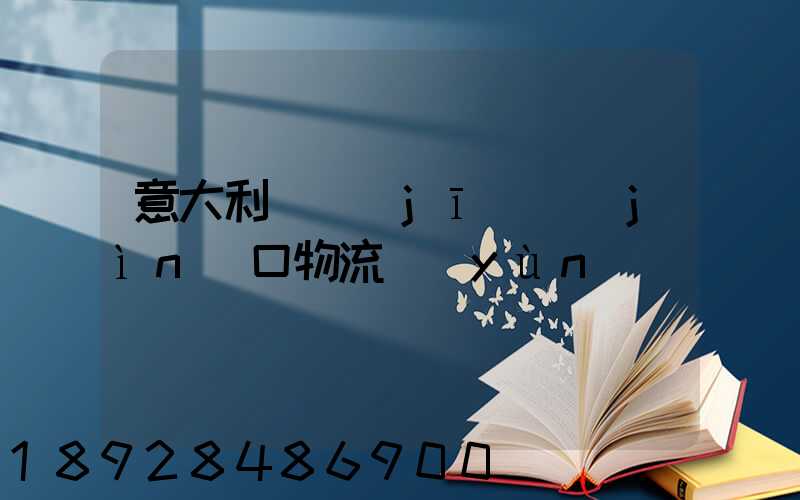 意大利電機(jī)進(jìn)口物流運(yùn)輸