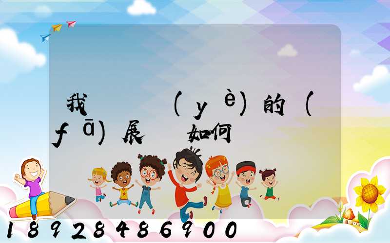 我國貨運業(yè)的發(fā)展趨勢如何