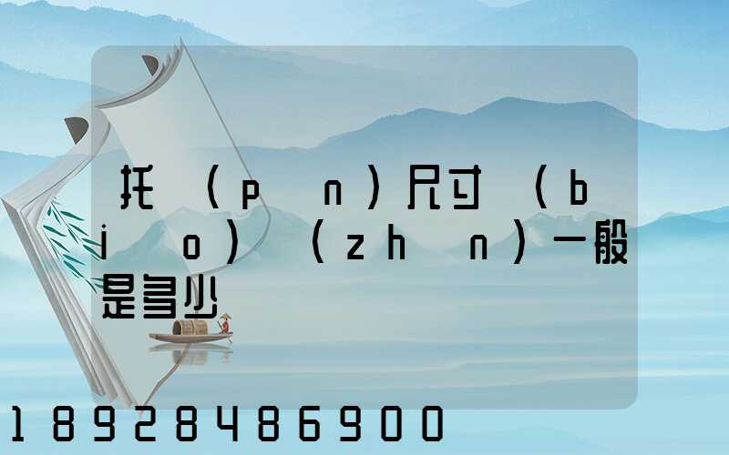 托盤(pán)尺寸標(biāo)準(zhǔn)一般是多少