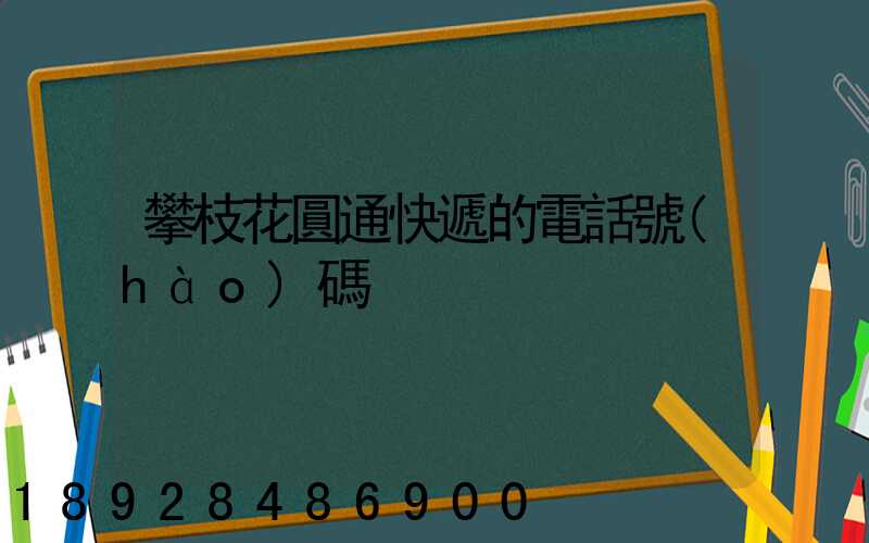 攀枝花圓通快遞的電話號(hào)碼