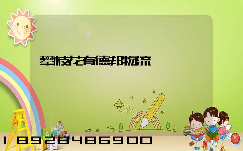 攀枝花有德邦物流嗎