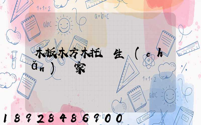 木板木方木托盤生產(chǎn)廠家