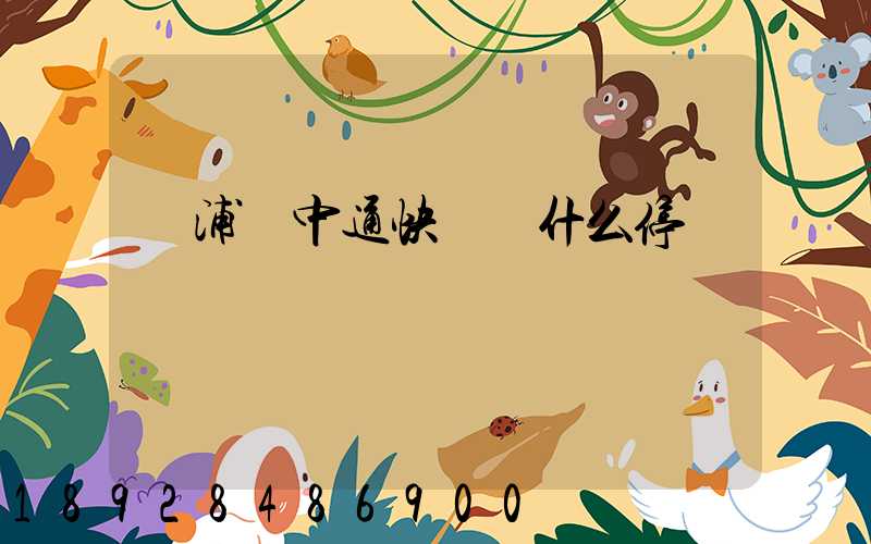 楊浦區中通快遞為什么停運