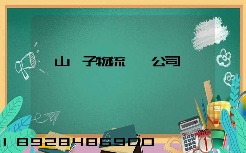 樂山電子物流運輸公司