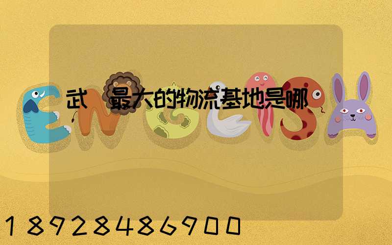 武漢最大的物流基地是哪個