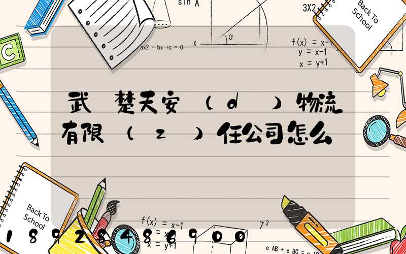 武漢楚天安達(dá)物流有限責(zé)任公司怎么樣