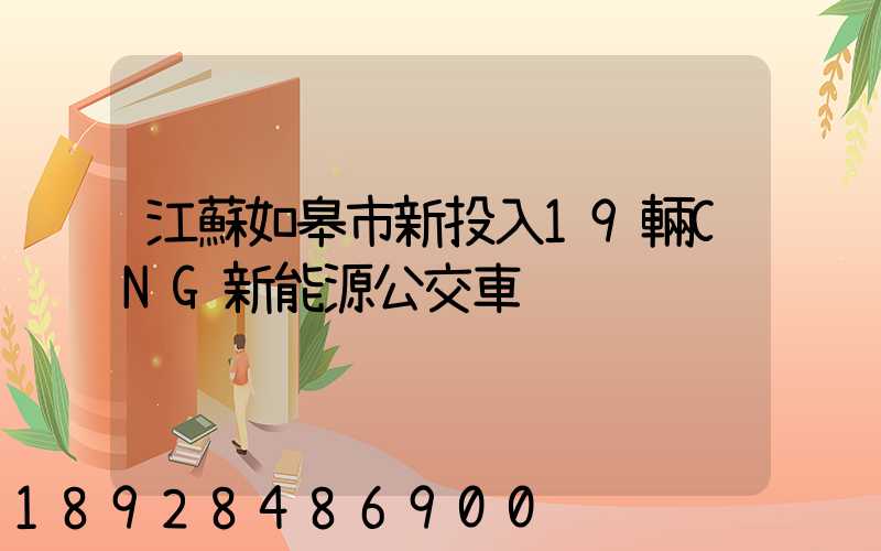 江蘇如皋市新投入19輛CNG新能源公交車