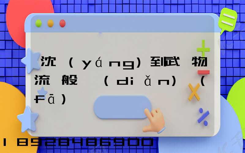 沈陽(yáng)到武漢物流一般幾點(diǎn)發(fā)車