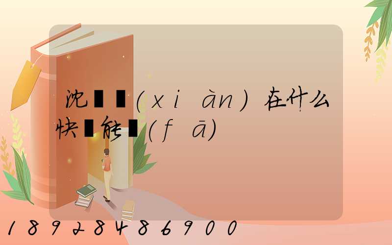 沈陽現(xiàn)在什么快遞能發(fā)