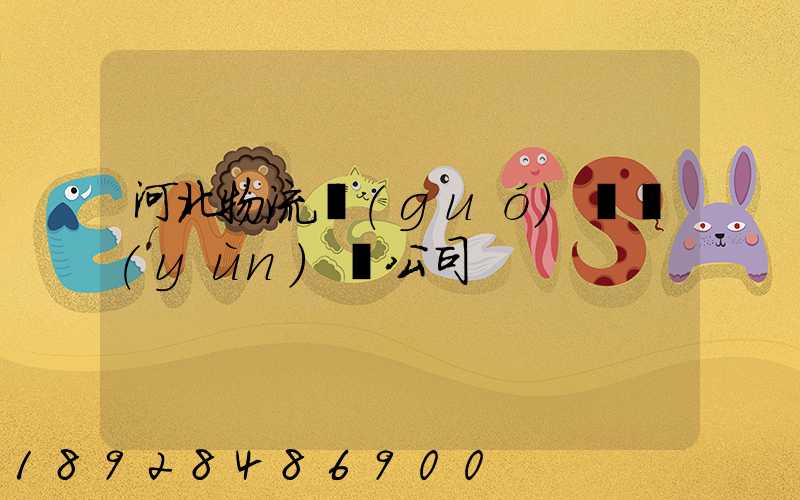 河北物流國(guó)際運(yùn)輸公司