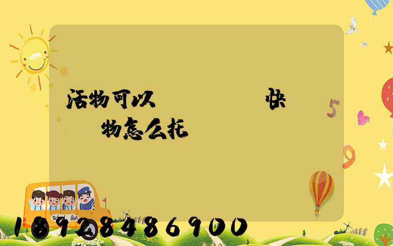 活物可以發(fā)快遞嗎,寵物怎么托運(yùn)