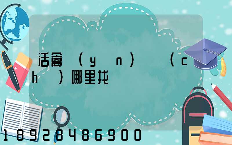 活禽運(yùn)輸車(chē)哪里找