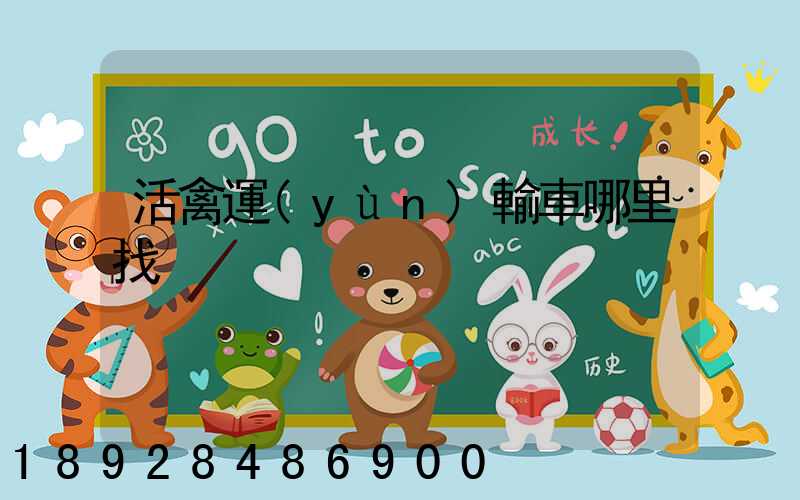 活禽運(yùn)輸車哪里找