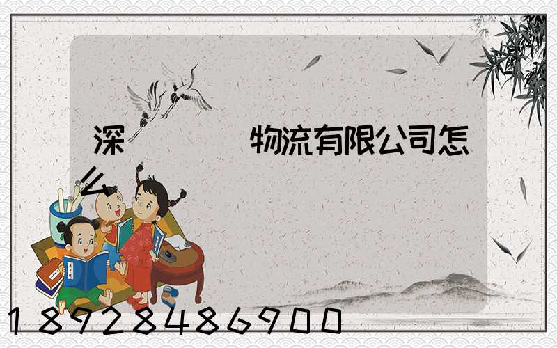 深國際飛馳物流有限公司怎么樣