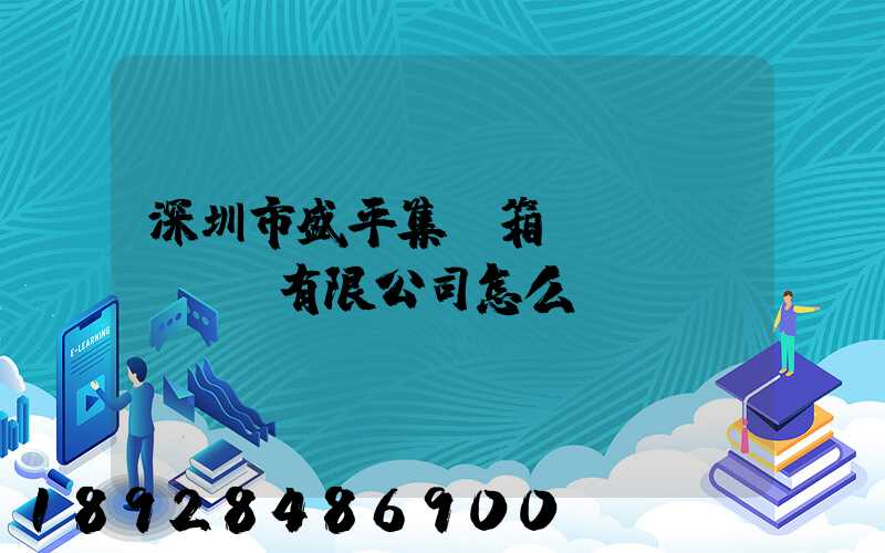 深圳市盛平集裝箱運(yùn)輸有限公司怎么樣