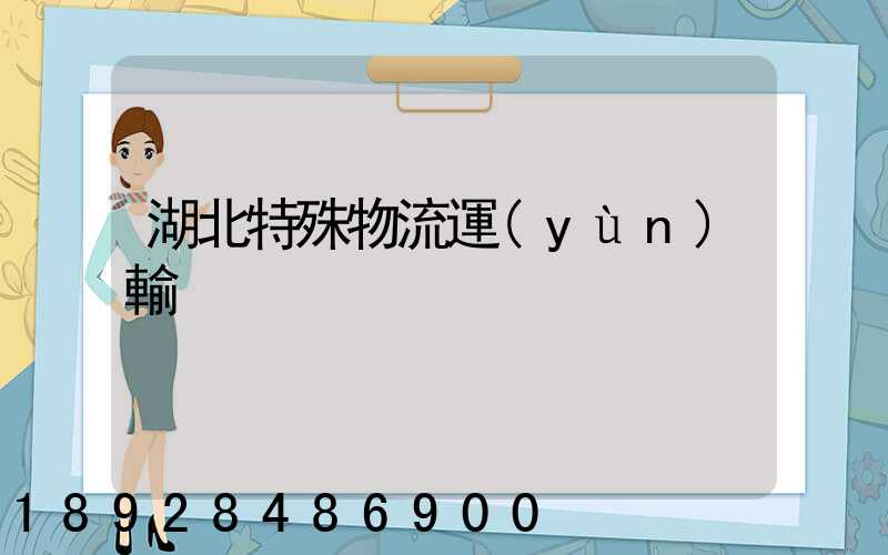 湖北特殊物流運(yùn)輸