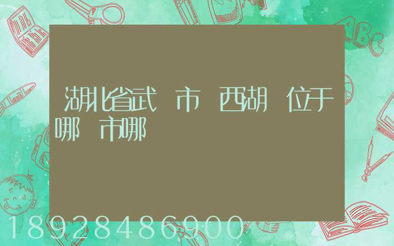 湖北省武漢市東西湖區位于哪個市哪個區
