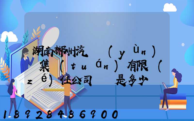 湖南郴州汽車運(yùn)輸集團(tuán)有限責(zé)任公司電話是多少