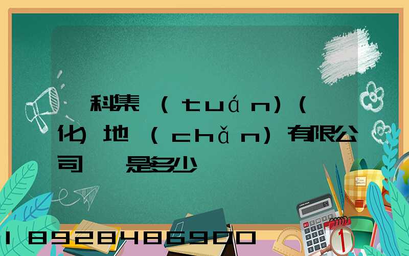 澤科集團(tuán)(懷化)地產(chǎn)有限公司電話是多少