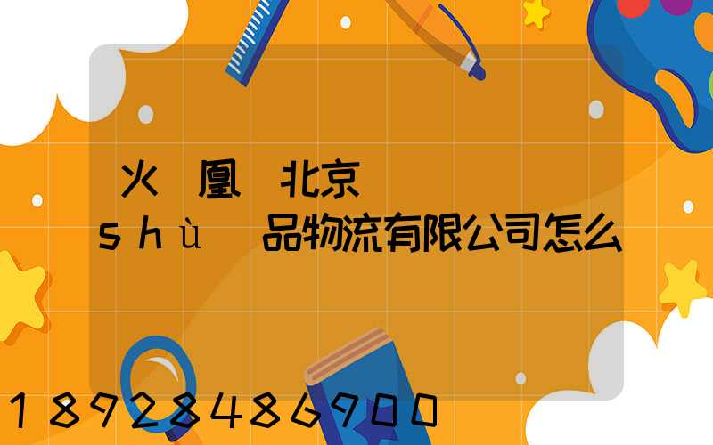 火鳳凰(北京)國際藝術(shù)品物流有限公司怎么樣
