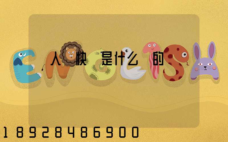無人機快遞是什么來的