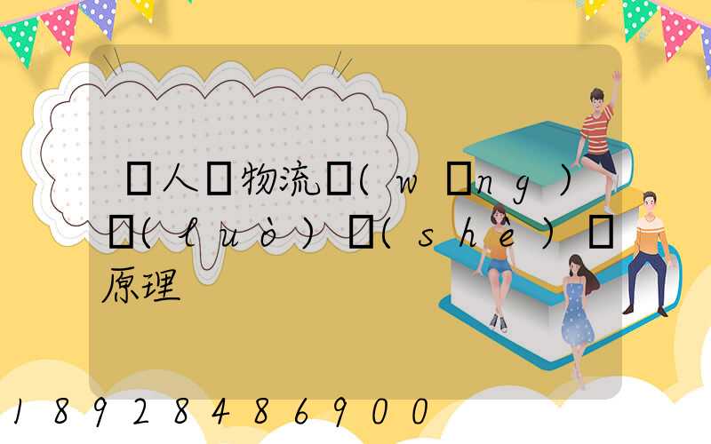無人機物流網(wǎng)絡(luò)設(shè)計原理
