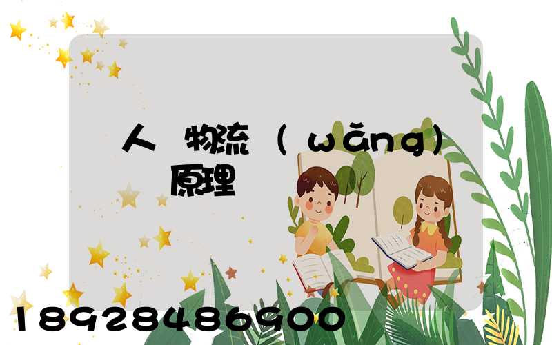 無人機物流網(wǎng)絡設計原理