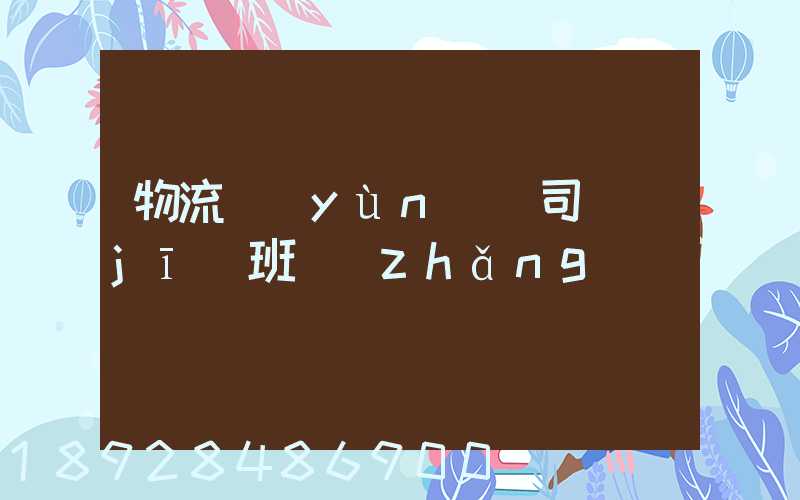 物流運(yùn)輸司機(jī)班長(zhǎng)