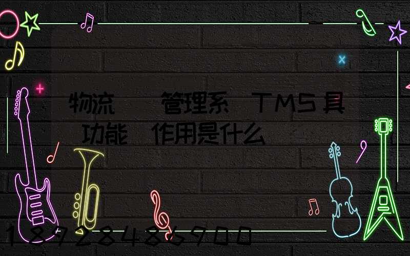 物流運輸管理系統TMS具體功能與作用是什么