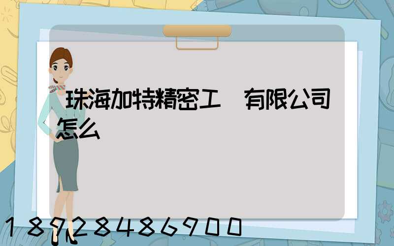 珠海加特精密工業有限公司怎么樣