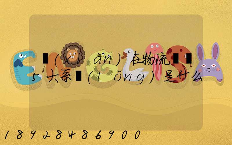 現(xiàn)在物流運輸5大系統(tǒng)是什么