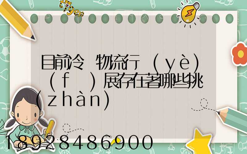目前冷鏈物流行業(yè)發(fā)展存在著哪些挑戰(zhàn)