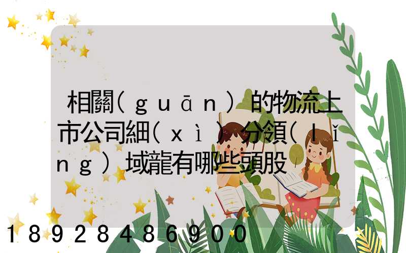 相關(guān)的物流上市公司細(xì)分領(lǐng)域龍有哪些頭股