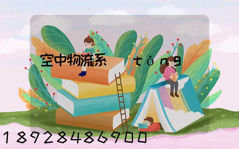 空中物流系統(tǒng)