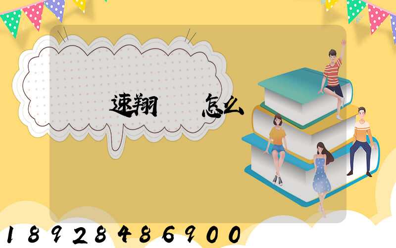 紹興速翔車隊怎么樣