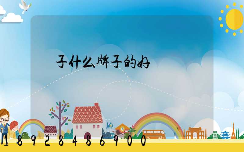 膩子什么牌子的好