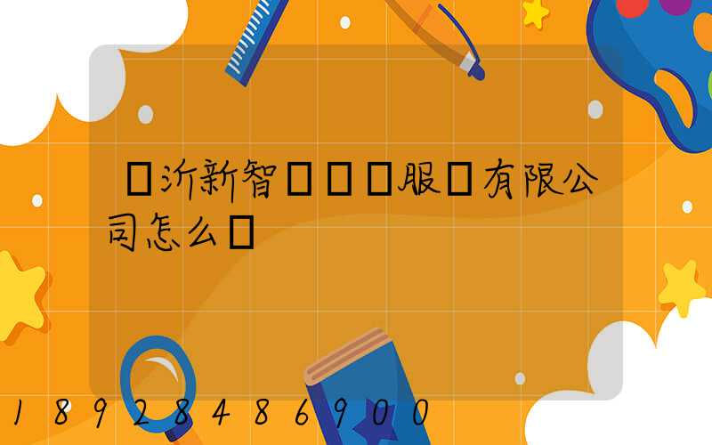 臨沂新智遠運輸服務有限公司怎么樣