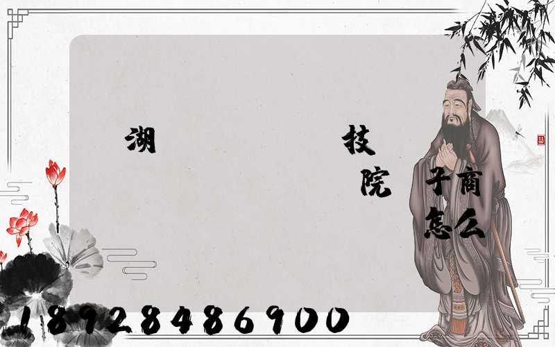 蕪湖職業(yè)技術(shù)學(xué)院電子商務(wù)專業(yè)怎么樣