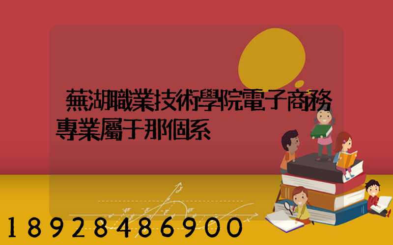 蕪湖職業技術學院電子商務專業屬于那個系